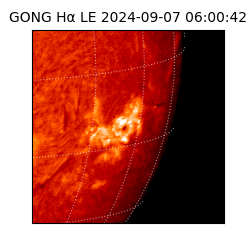 gong - 2024-09-07T06:00:42