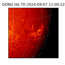gong - 2024-09-07T11:00:22
