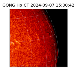 gong - 2024-09-07T15:00:42