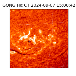 gong - 2024-09-07T15:00:42