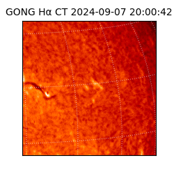 gong - 2024-09-07T20:00:42