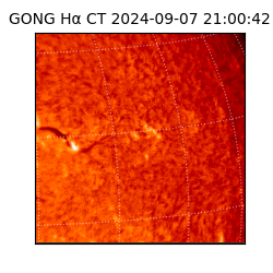 gong - 2024-09-07T21:00:42