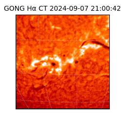 gong - 2024-09-07T21:00:42