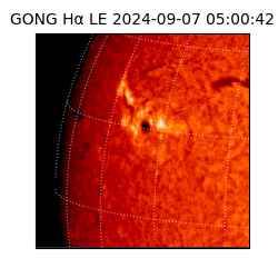 gong - 2024-09-07T05:00:42