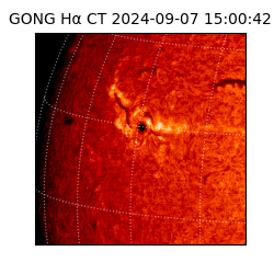 gong - 2024-09-07T15:00:42