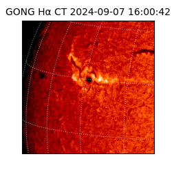 gong - 2024-09-07T16:00:42
