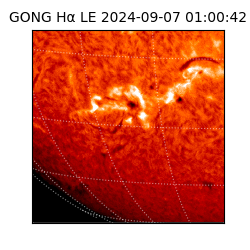 gong - 2024-09-07T01:00:42