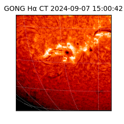 gong - 2024-09-07T15:00:42