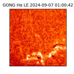gong - 2024-09-07T01:00:42