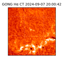 gong - 2024-09-07T20:00:42