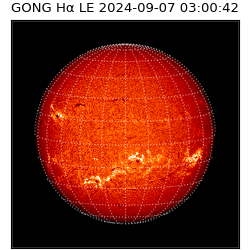 gong - 2024-09-07T03:00:42