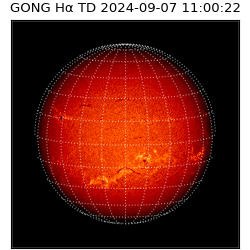gong - 2024-09-07T11:00:22