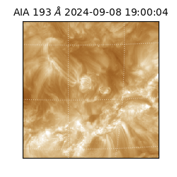 saia - 2024-09-08T19:00:04.843000