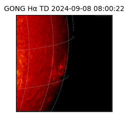 gong - 2024-09-08T08:00:22