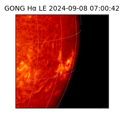 gong - 2024-09-08T07:00:42