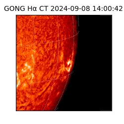 gong - 2024-09-08T14:00:42