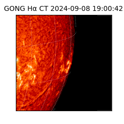 gong - 2024-09-08T19:00:42