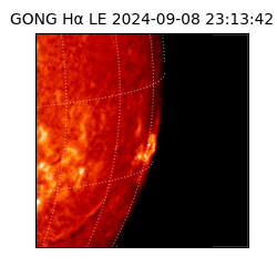 gong - 2024-09-08T23:13:42