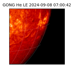gong - 2024-09-08T07:00:42