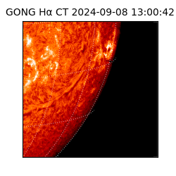 gong - 2024-09-08T13:00:42