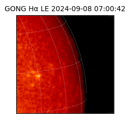 gong - 2024-09-08T07:00:42