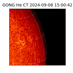 gong - 2024-09-08T15:00:42