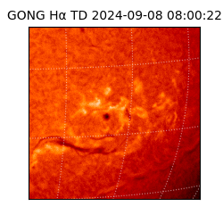 gong - 2024-09-08T08:00:22