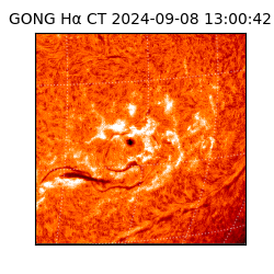 gong - 2024-09-08T13:00:42