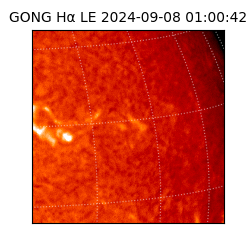 gong - 2024-09-08T01:00:42