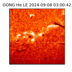 gong - 2024-09-08T03:00:42