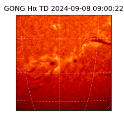 gong - 2024-09-08T09:00:22