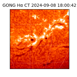 gong - 2024-09-08T18:00:42