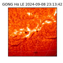 gong - 2024-09-08T23:13:42