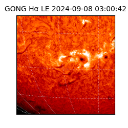 gong - 2024-09-08T03:00:42
