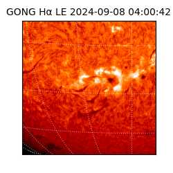 gong - 2024-09-08T04:00:42