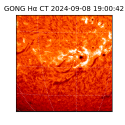gong - 2024-09-08T19:00:42