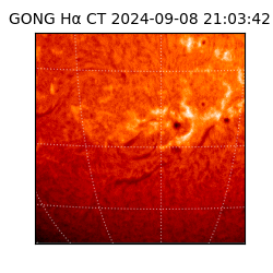 gong - 2024-09-08T21:03:42