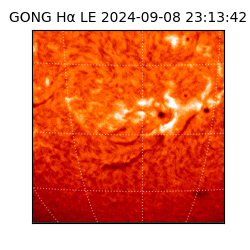 gong - 2024-09-08T23:13:42