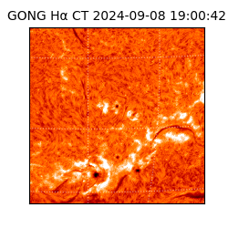 gong - 2024-09-08T19:00:42