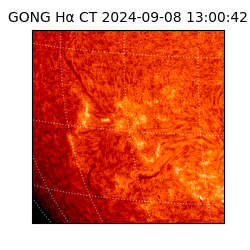 gong - 2024-09-08T13:00:42