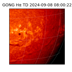 gong - 2024-09-08T08:00:22