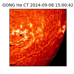 gong - 2024-09-08T15:00:42
