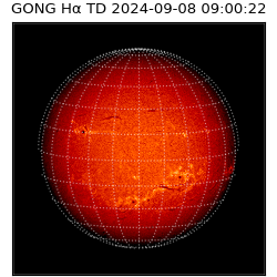 gong - 2024-09-08T09:00:22