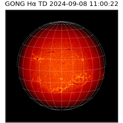 gong - 2024-09-08T11:00:22