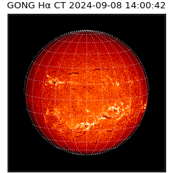 gong - 2024-09-08T14:00:42