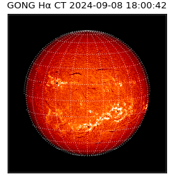 gong - 2024-09-08T18:00:42