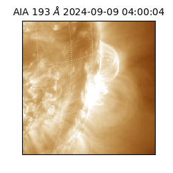 saia - 2024-09-09T04:00:04.843000