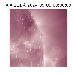 saia - 2024-09-09T09:00:09.626000