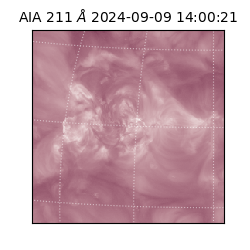 saia - 2024-09-09T14:00:21.626000