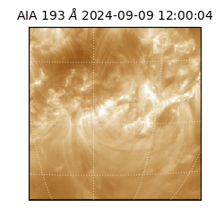 saia - 2024-09-09T12:00:04.843000